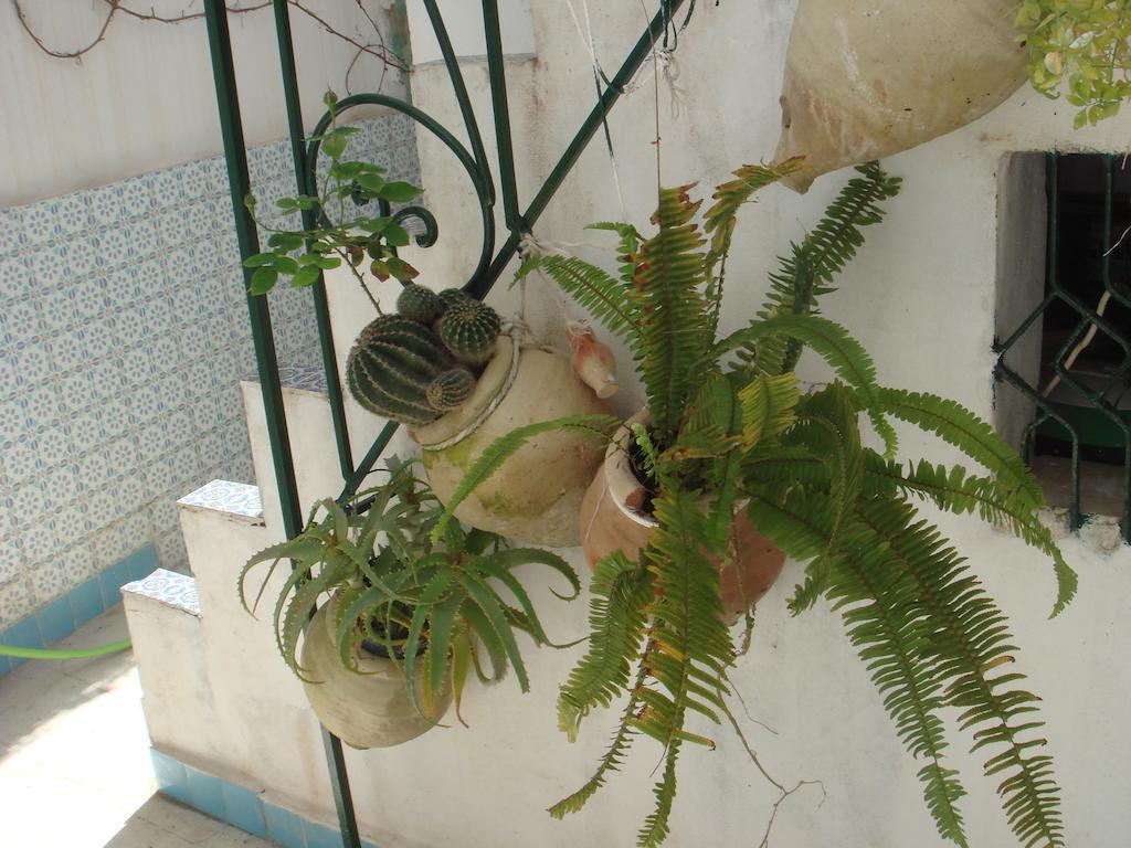 Dar Warda Bed and Breakfast Bizerte Eksteriør billede